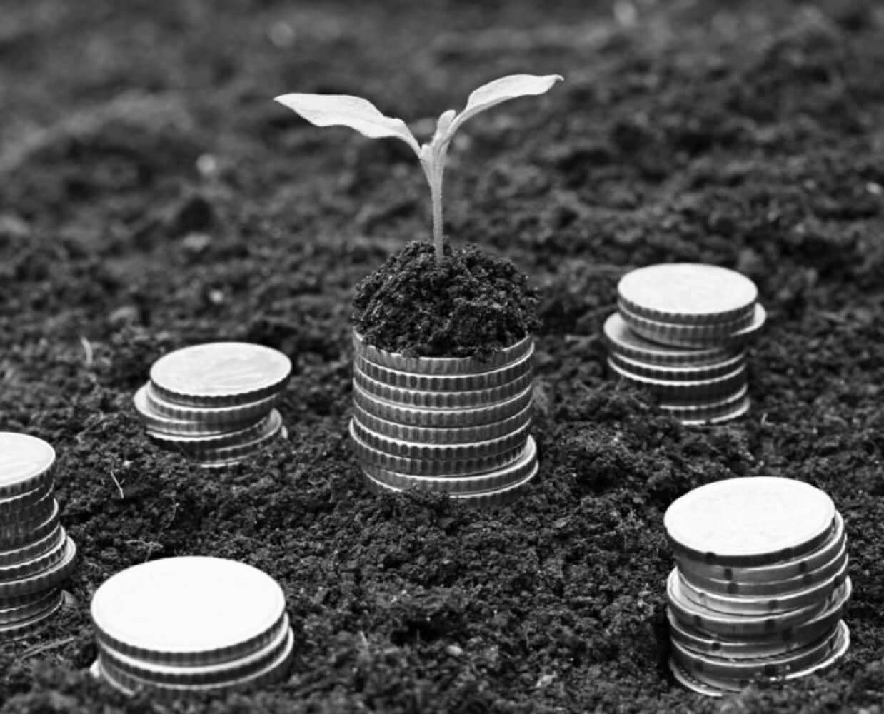 Financial Advisor Government Jobs Canada - The life and times of financial advisors at Edward Jones ... - The senior financial advisor identifies member life stage cycle and provides solutions to financial needs, and/or refers member to an appropriate advisor.