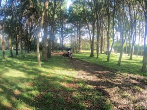 Wellness - time out to ride