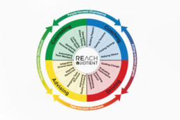 REACH quotient