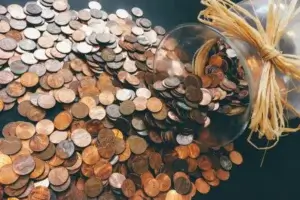 Budget and coinage